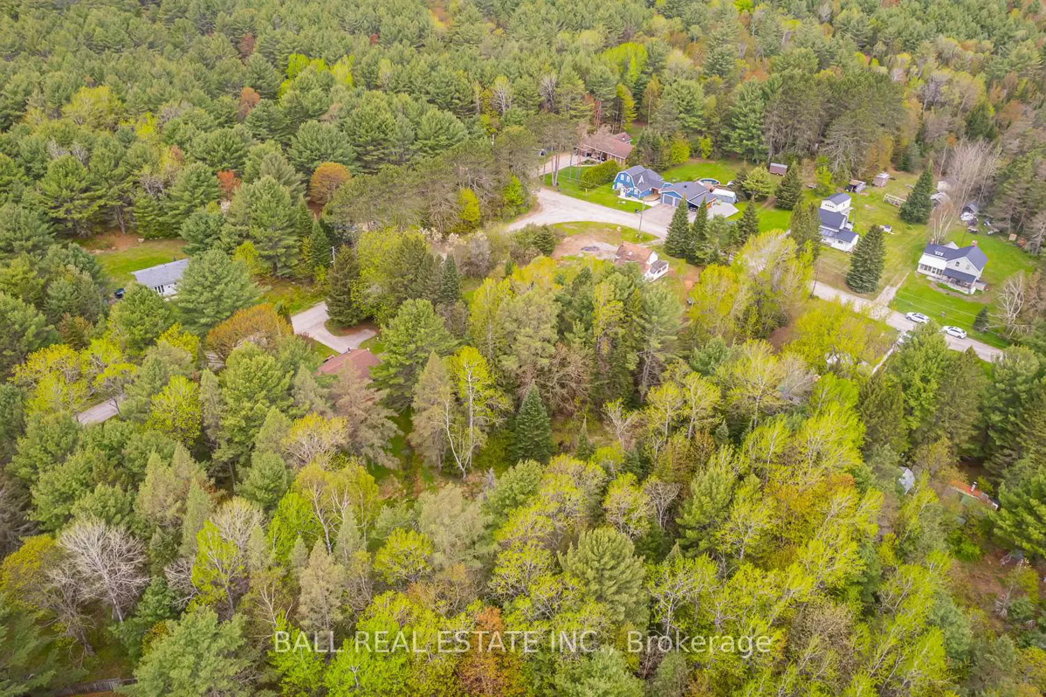 Additional image 11 of 0 The Avenue