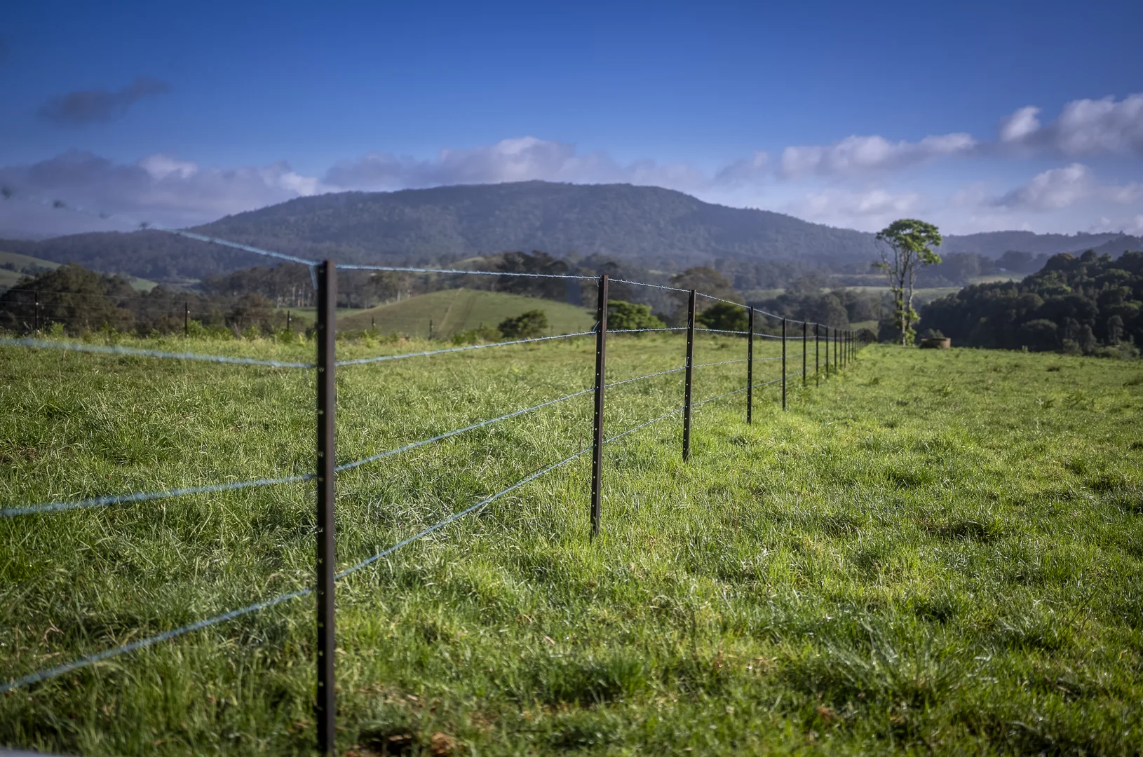Additional image 27 of 294 Coramba Road, Dorrigo NSW 2453