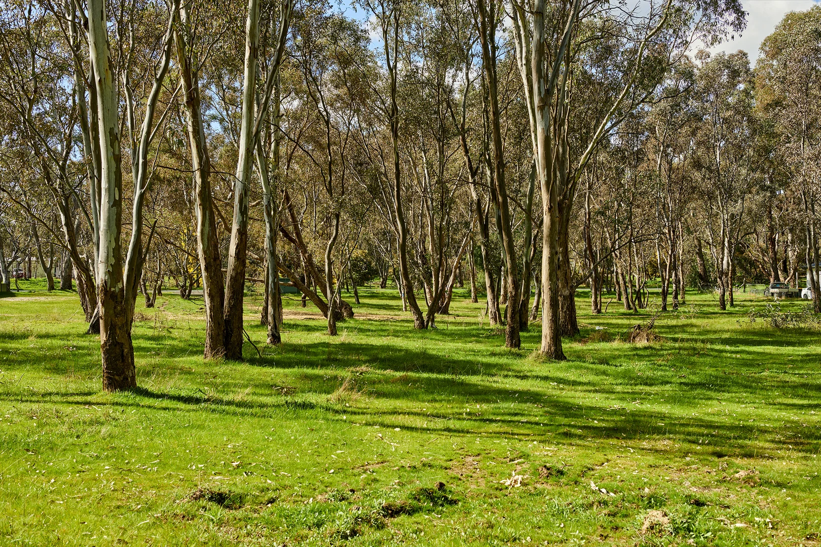 Additional image 3 of 83 Bennett Street, Heathcote VIC 3523