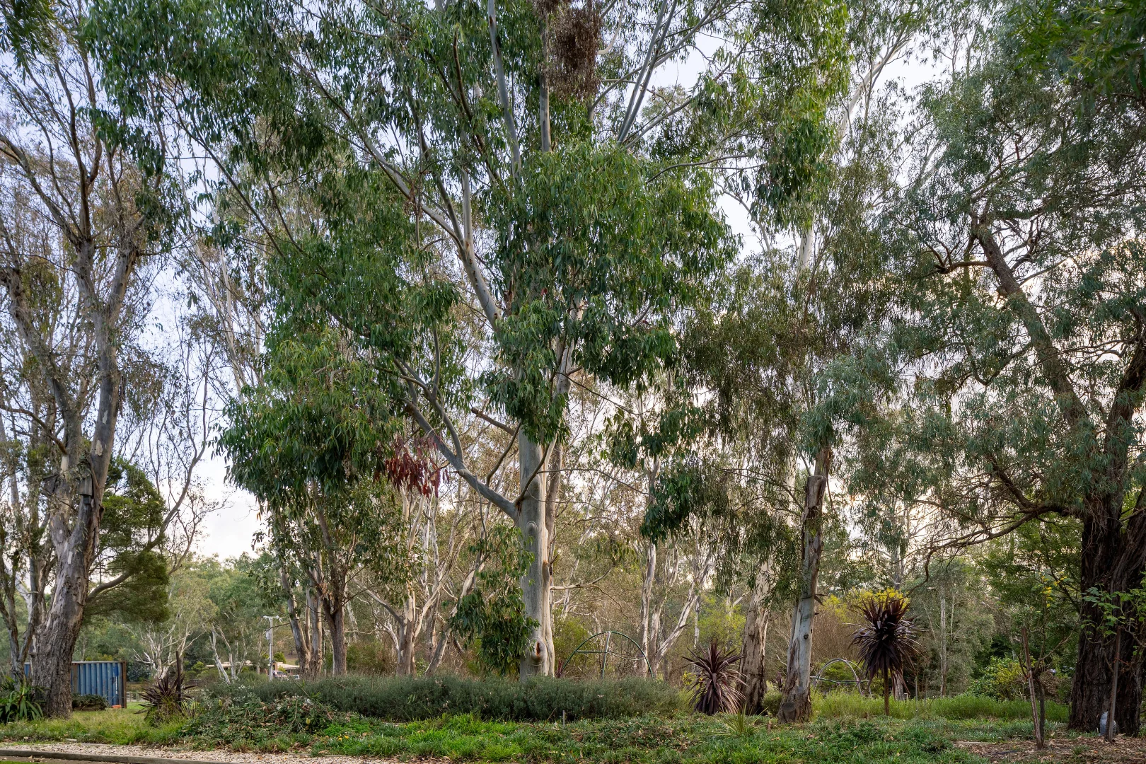 Additional image 26 of 59 Halls Flat Road, Alexandra VIC 3714