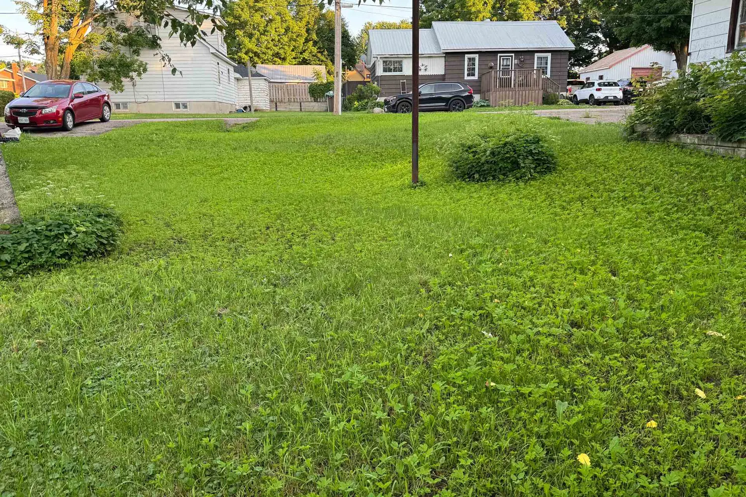 Additional image 5 of 187 Hunter Street