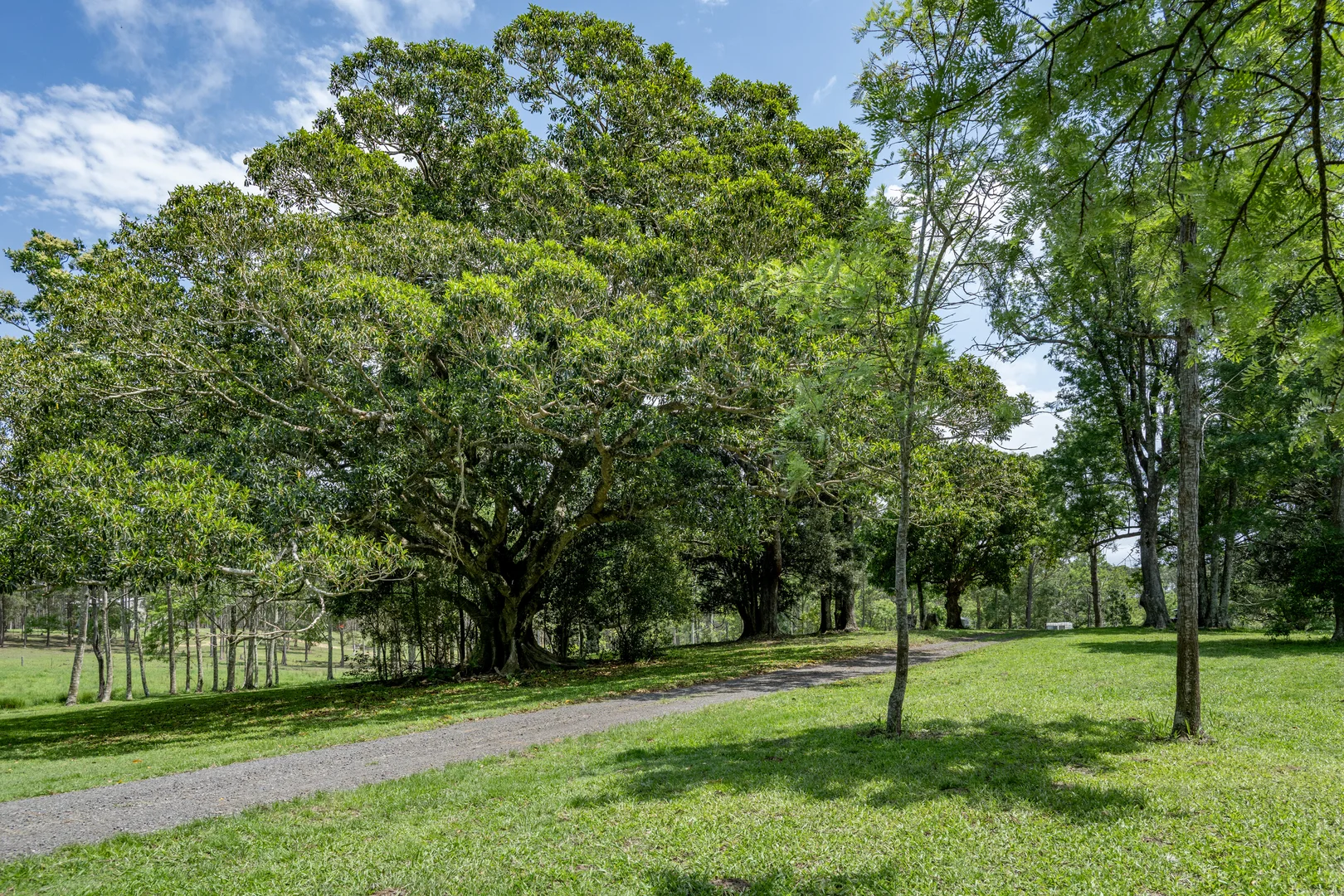 Additional image 15 of 239 Parsons Road, Coondoo QLD 4570