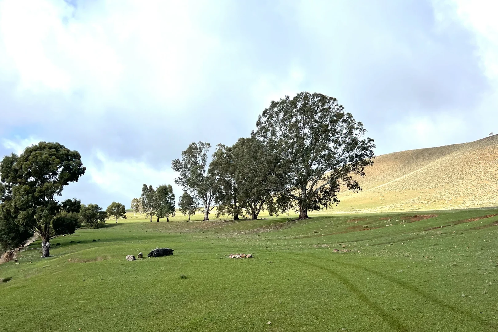 Additional image 23 of 'Broughton Valley' 1 Euromina Road, Broughton River Valley SA 5454