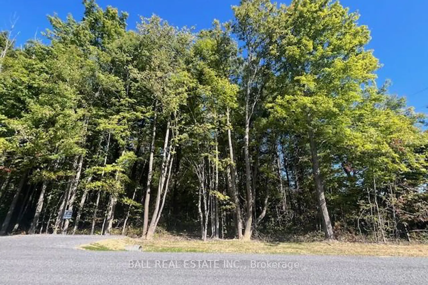 Additional image 6 of Pt 33A & Pt 33B Autumn Road