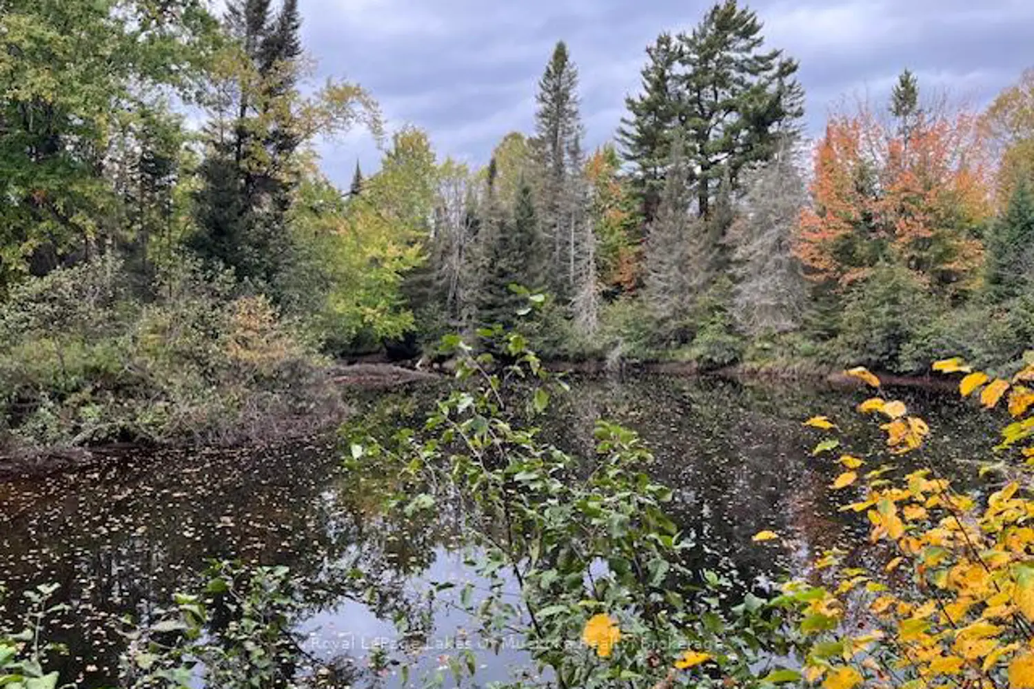 Additional image 2 of 121 Proudfoot Road