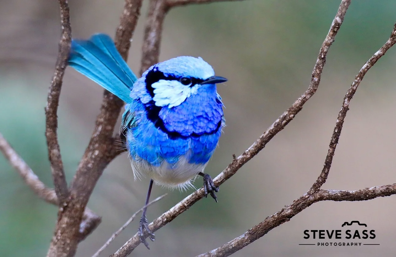 Additional image 10 of 22 Balowra Road, Nymagee NSW 2831