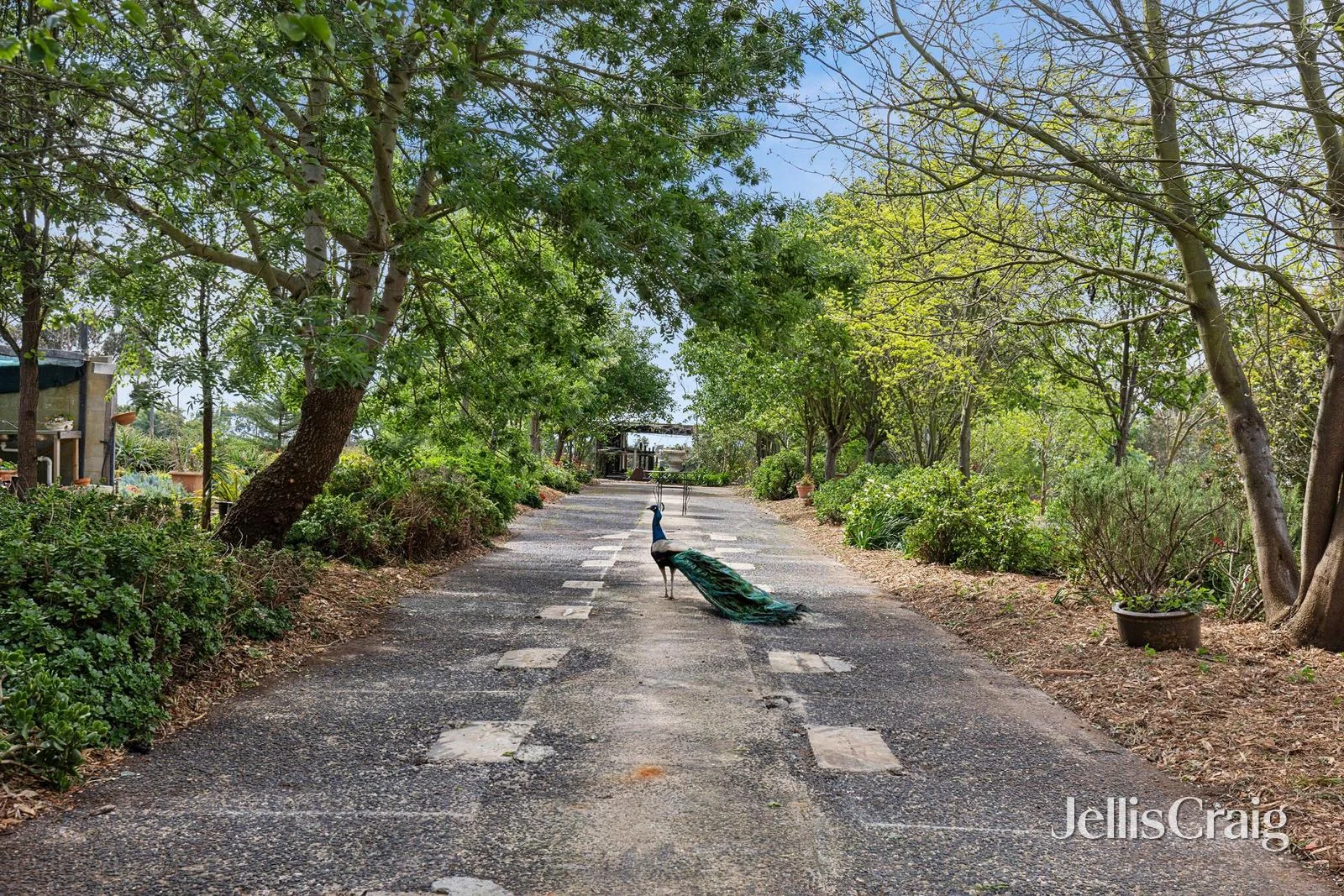 Additional image 21 of 3240 Princes Highway, Winchelsea VIC 3241