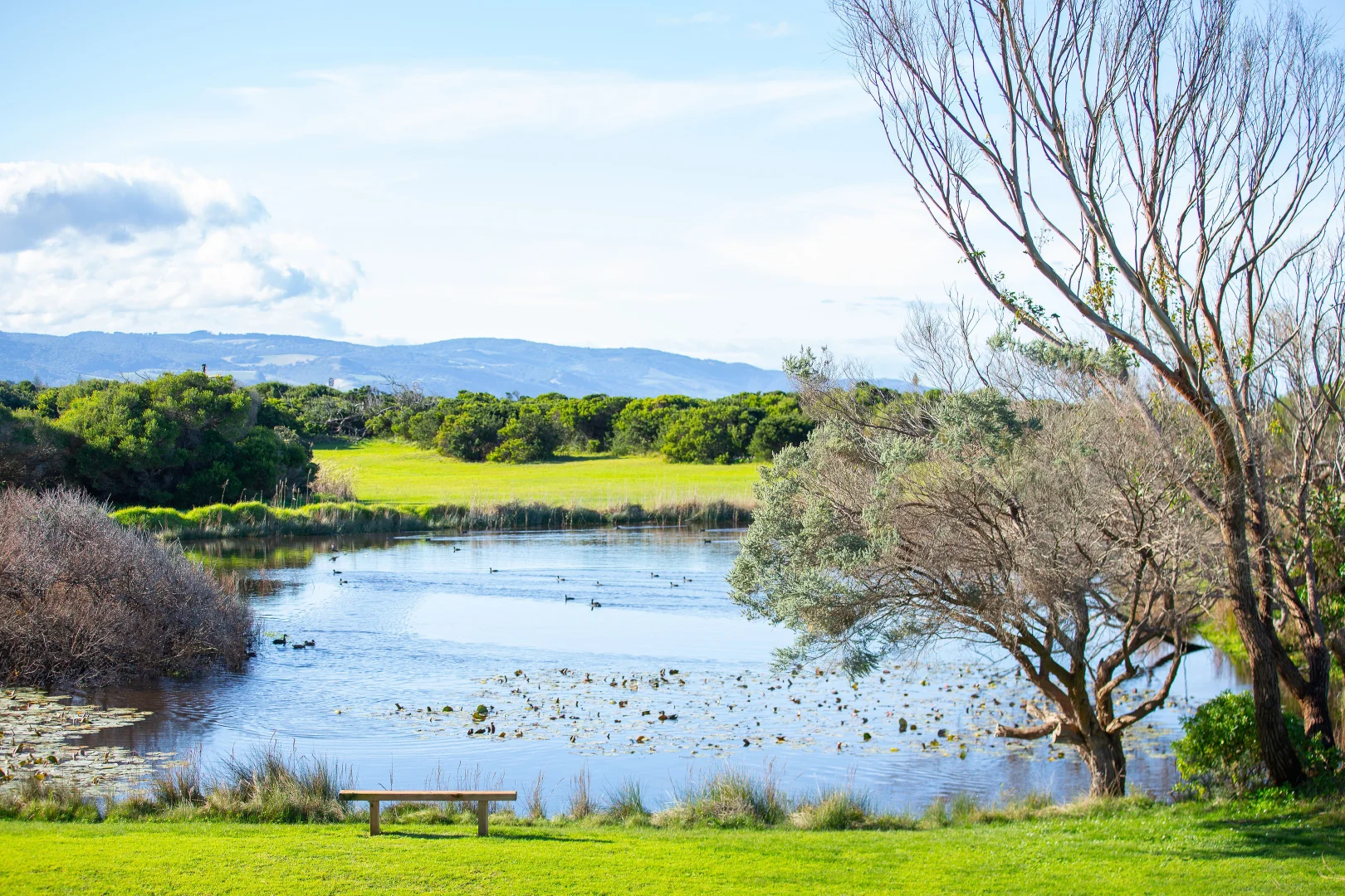 Additional image 20 of 5/2-6 Great Ocean Road, Marengo VIC 3233