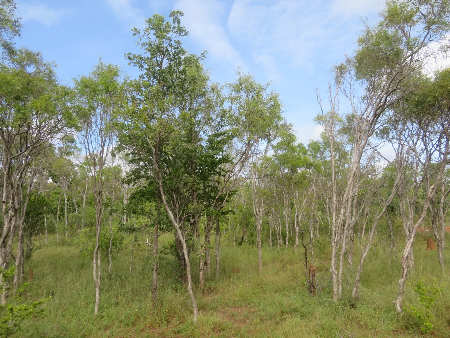 Additional image 31 of 2 Bolwarra Road, Chillagoe QLD 4871