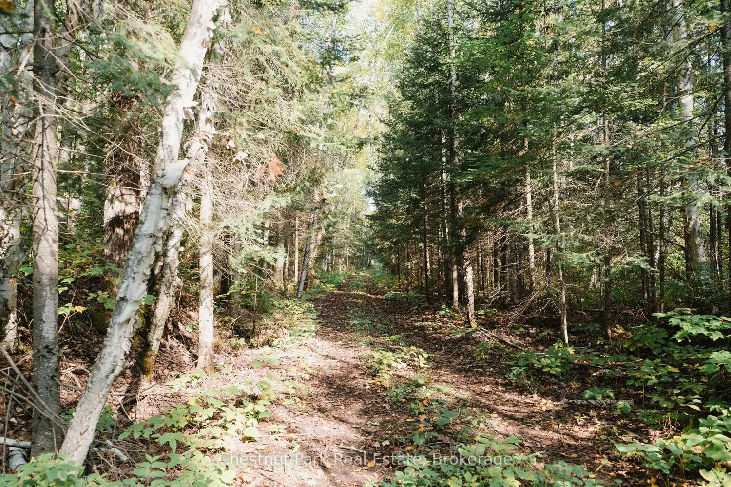 Additional image 3 of 445 Fox Run