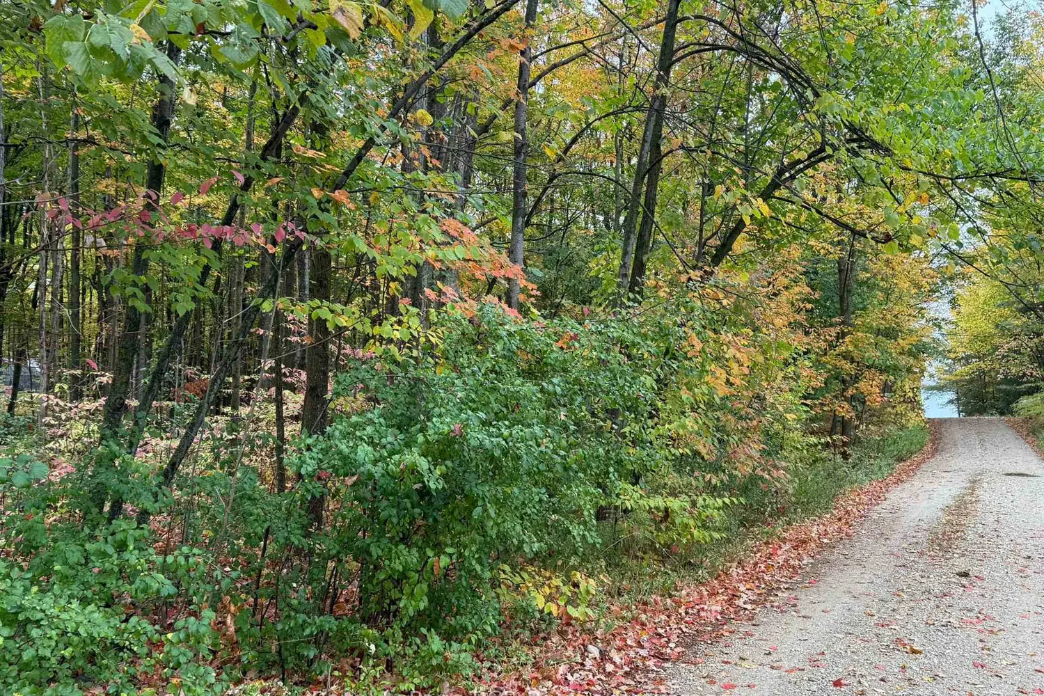 Additional image 6 of Lot 8 Green Acres Road