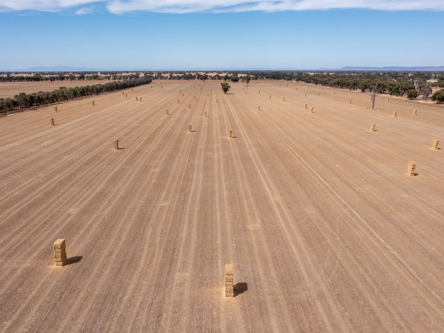 Additional image 7 of CA 60 Federation Way, Springhurst VIC 3682