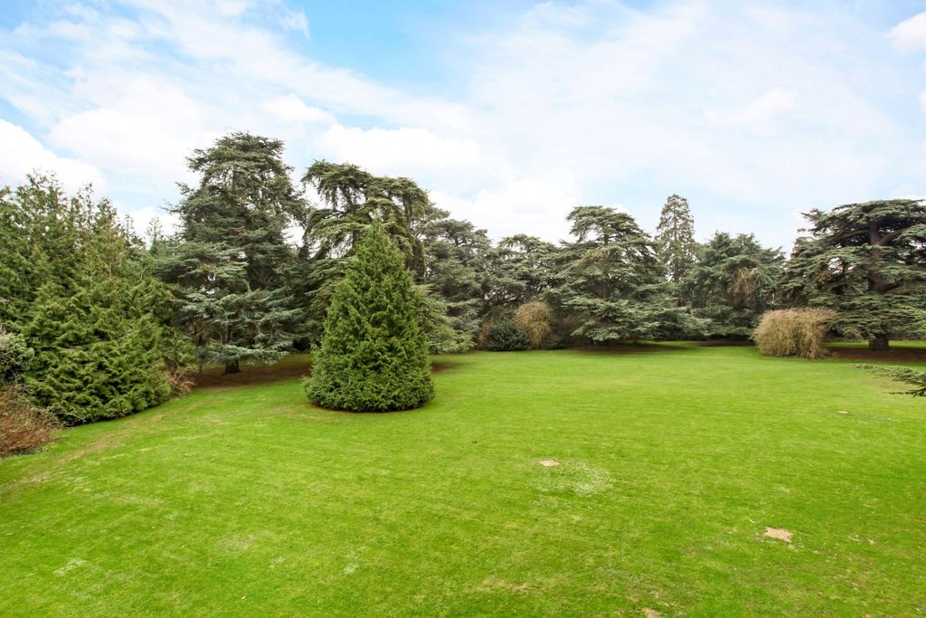 Additional image 16 of 2 bed flat to rentLongbourn, Windsor SL4