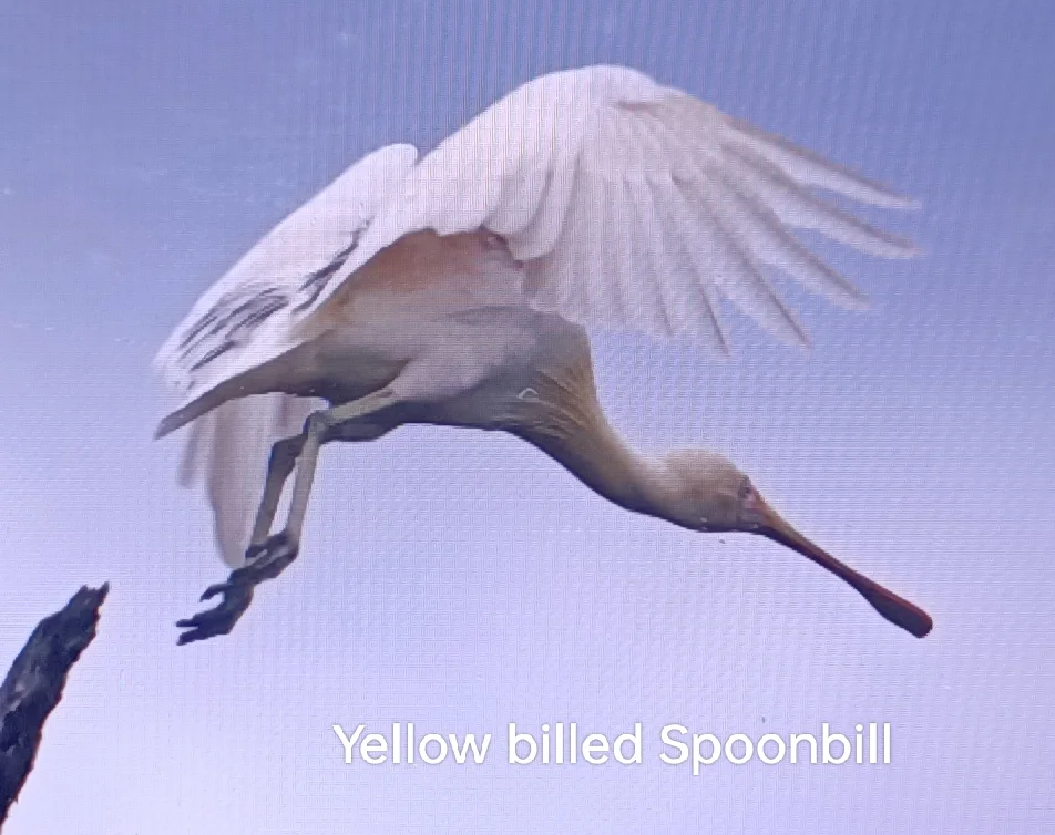 Additional image 7 of West Coolup WA 6214