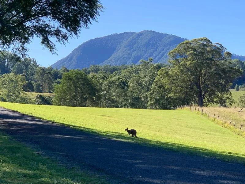 Additional image 23 of 94 Hutchinson Road, Nimbin NSW 2480