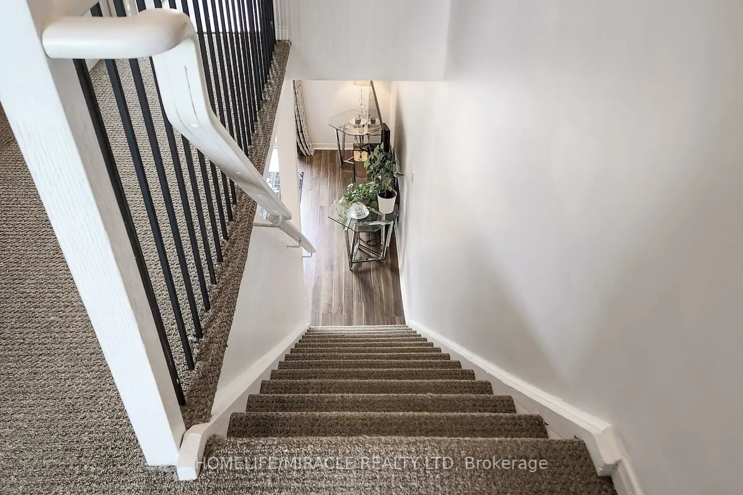 Additional image 11 of 4 William Curtis Circle