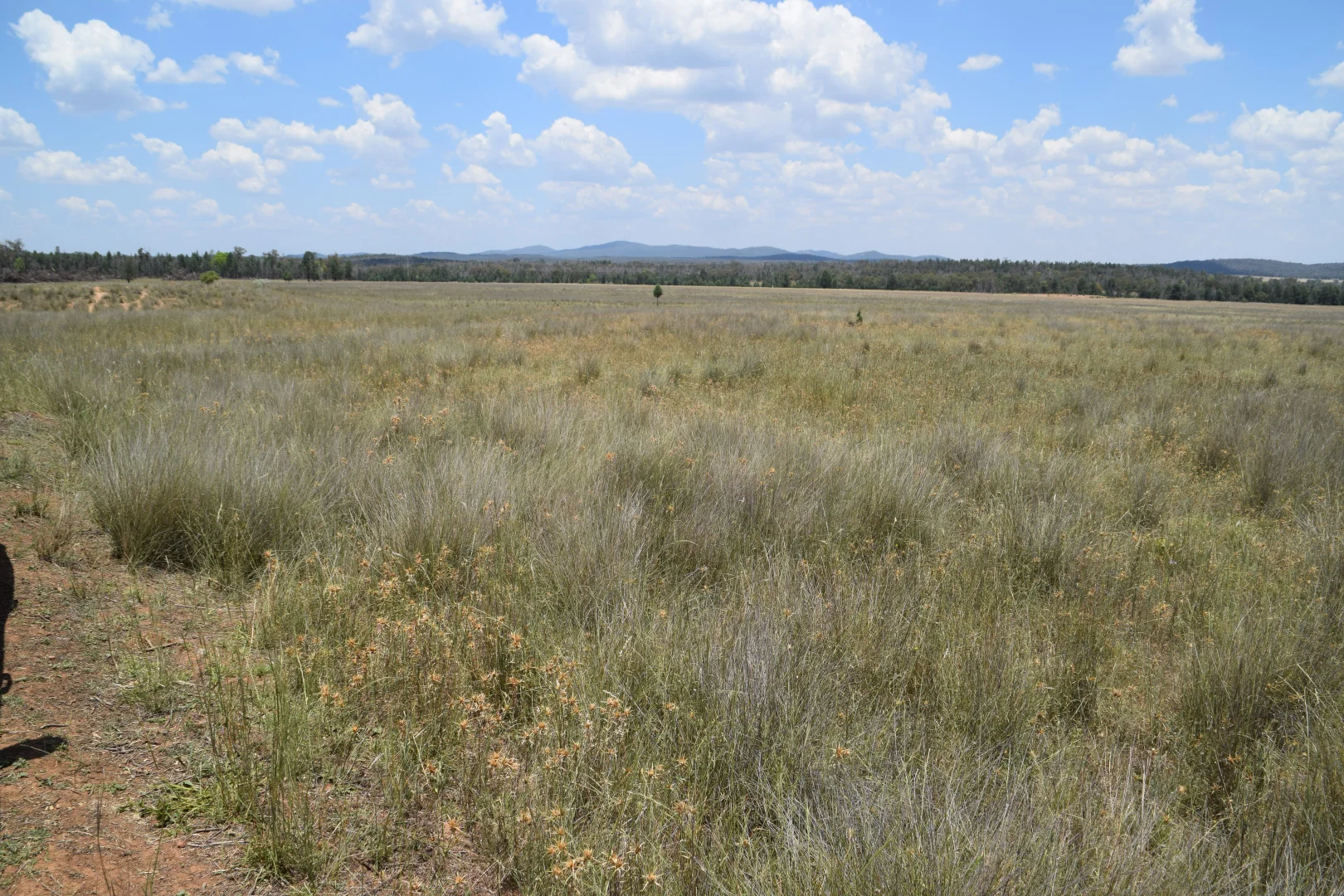 Additional image 24 of 'Illapa' 238L Narromine Road, Dubbo NSW 2830