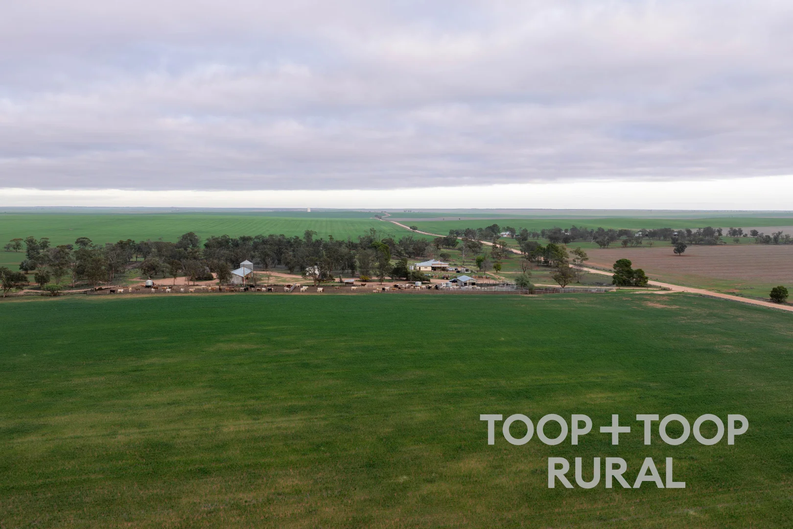 Additional image 10 of 735 Koch Road (via Loxton), Taldra SA 5311