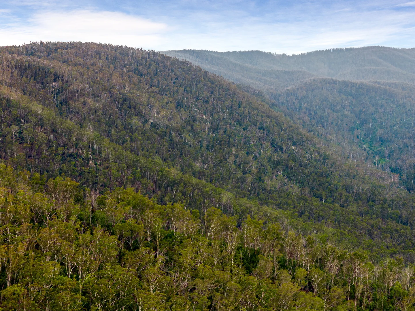 Additional image 15 of Candelo NSW 2550