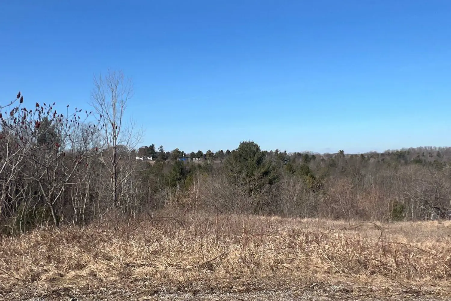 Additional image 2 of 00 Summer Lane