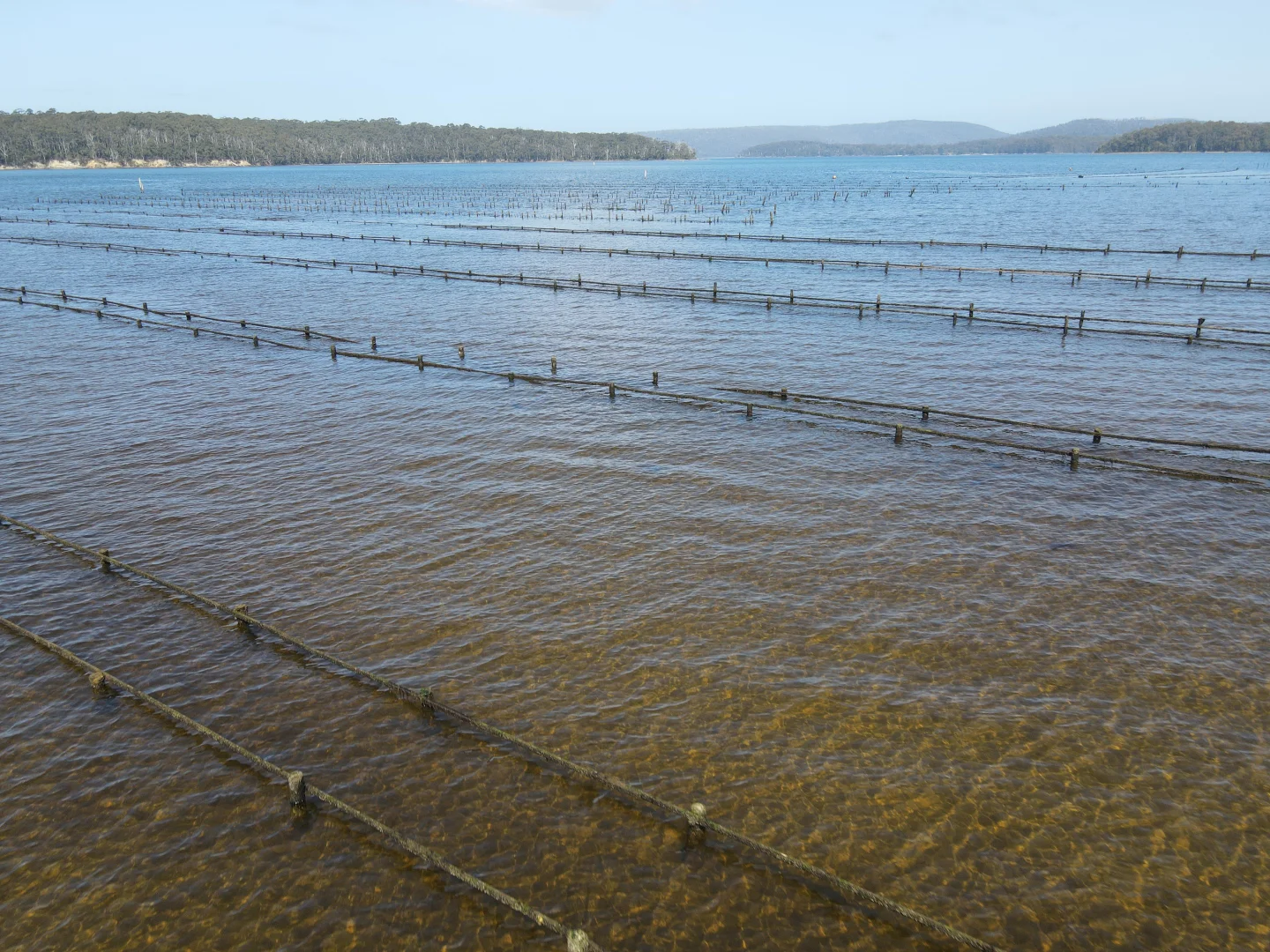 Additional image 21 of 100 Cockle Creek Road, Recherche TAS 7109