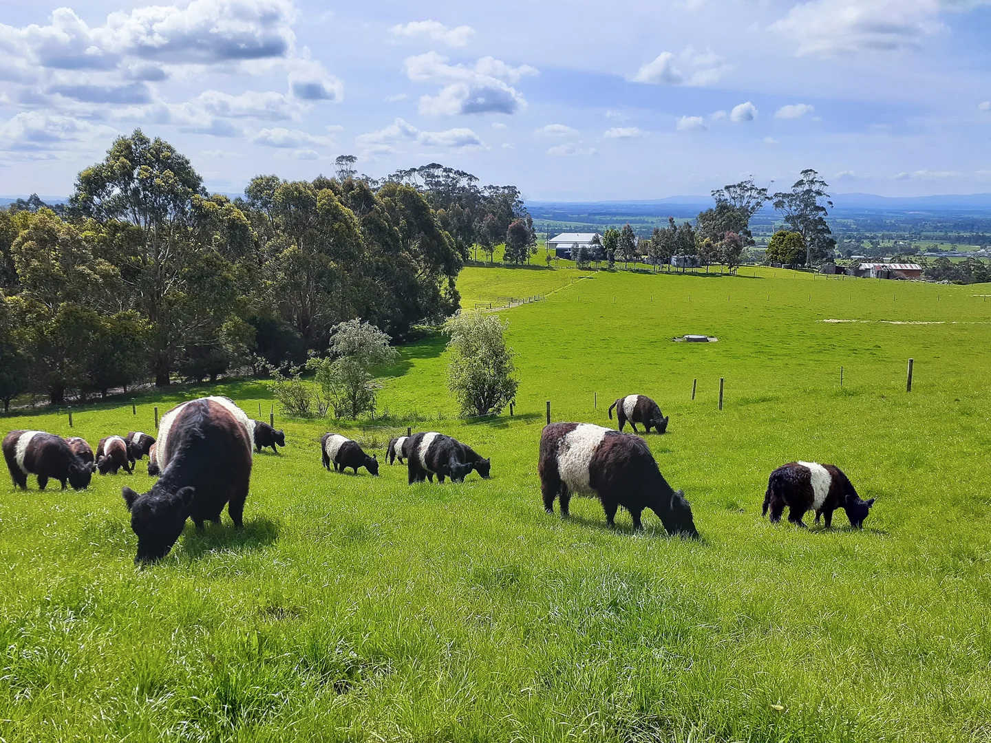 Additional image 27 of 426 Yarragon Leongatha Road, Yarragon VIC 3823