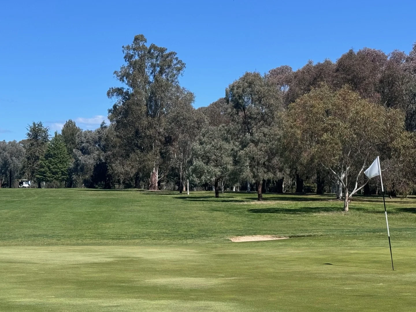 7 Elvins Street, Mansfield VIC 3722