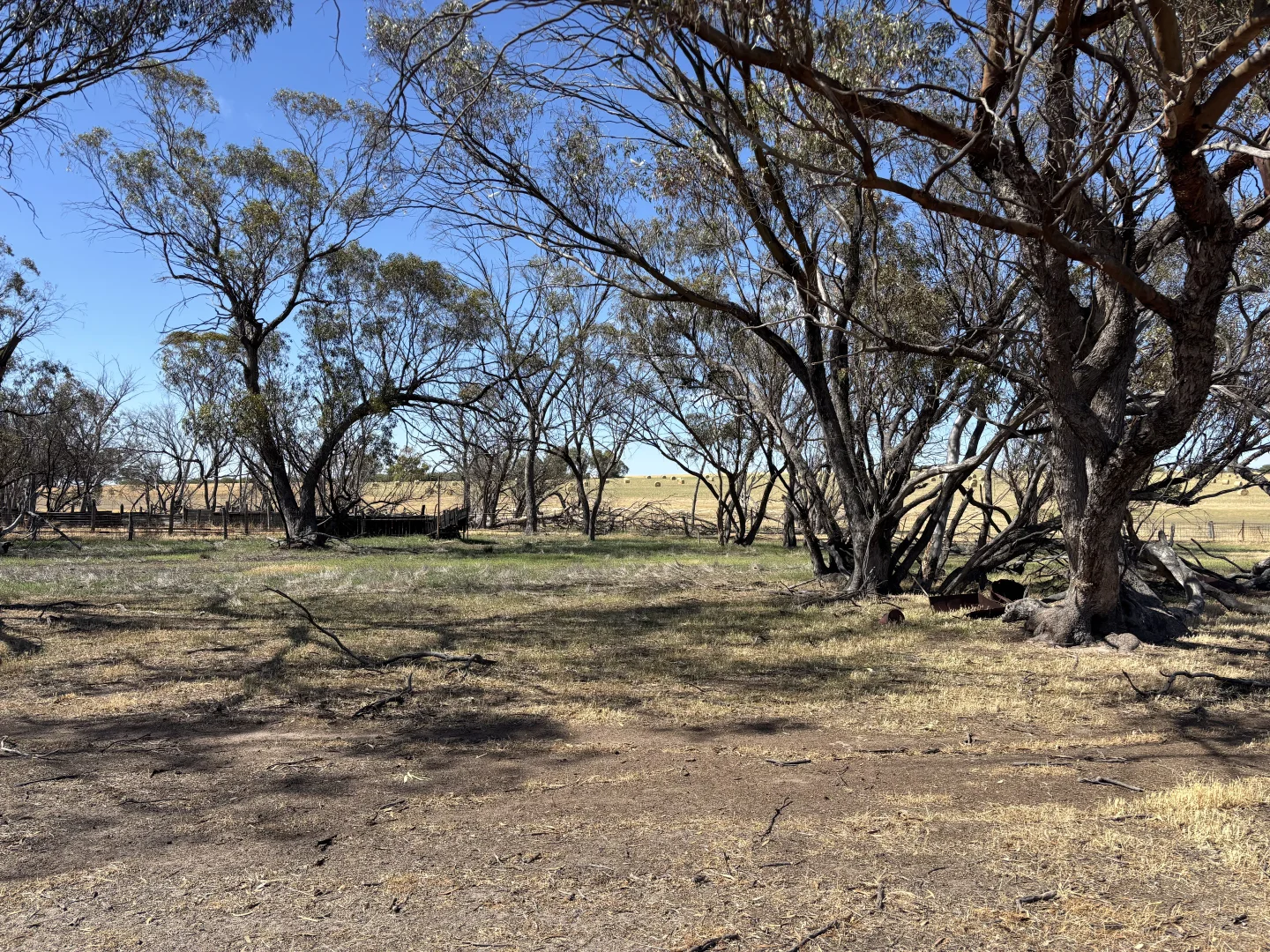Additional image 10 of . 'Cobbers Soak', Quairading WA 6383