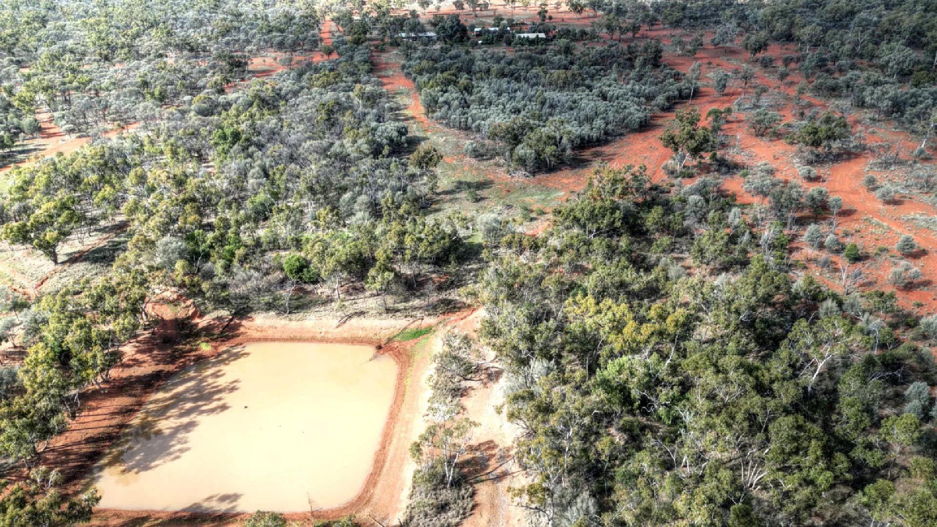 Additional image 6 of "Nardoo" Station 872 Davidson Road, Gunderbooka NSW 2840