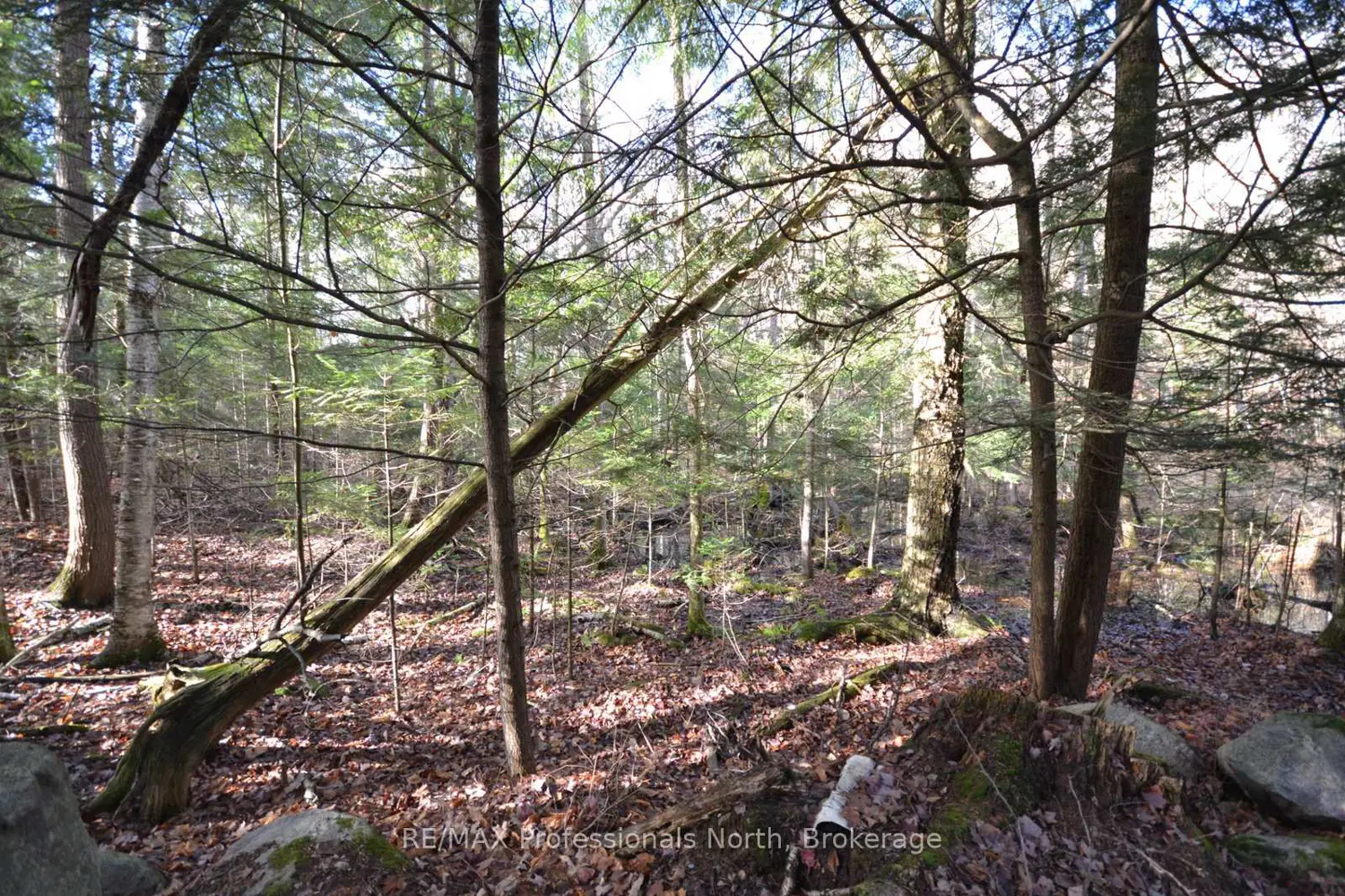 Additional image 7 of 0 Clive Trail