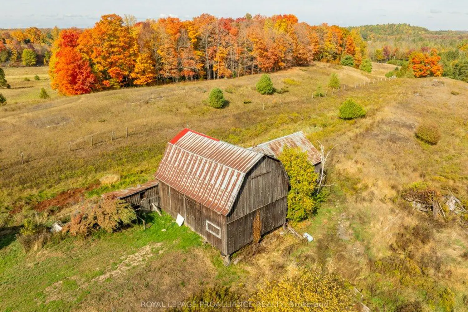 Additional image 17 of 5948 Ardoch Road