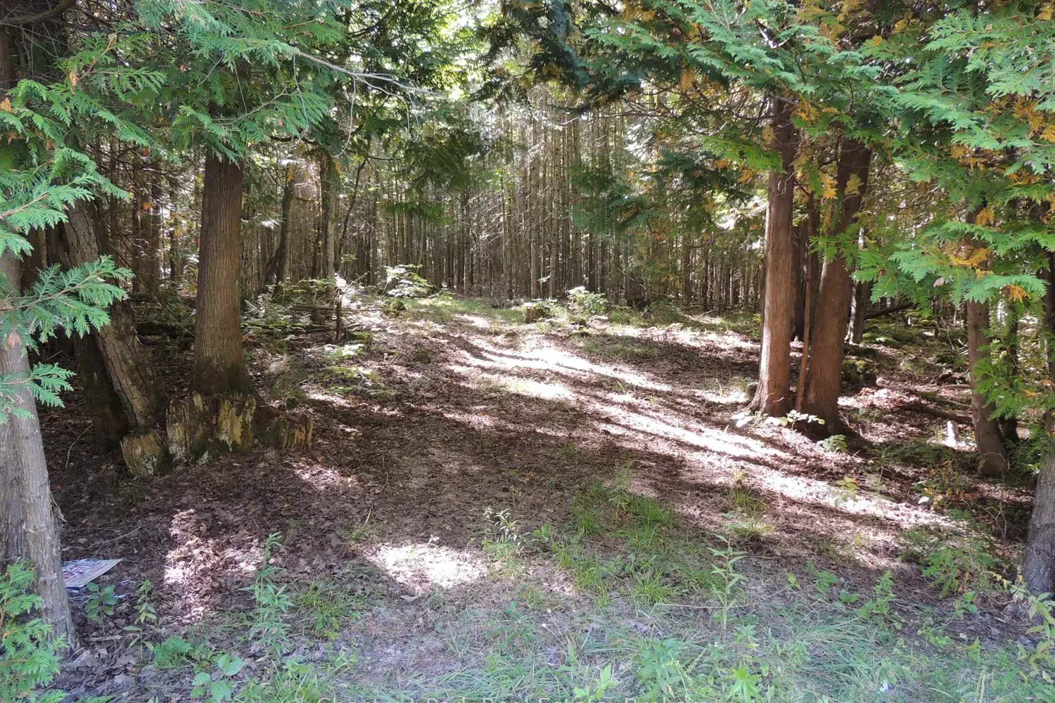 Additional image 2 of 596244 Concession 10