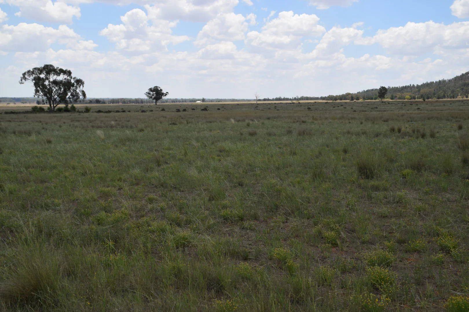 Additional image 27 of 'Illapa' 238L Narromine Road, Dubbo NSW 2830