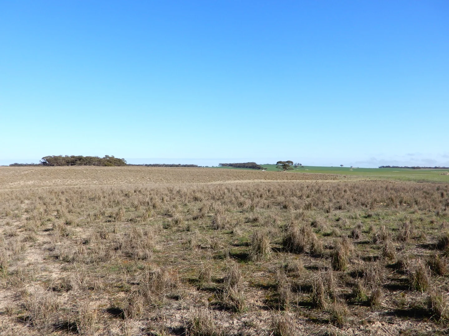 Additional image 14 of 281 Kielow Road, Peake SA 5301