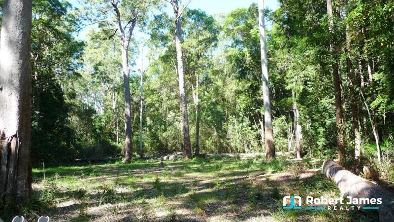 Additional image 2 of 51 Kildeys Road, Cootharaba QLD 4565