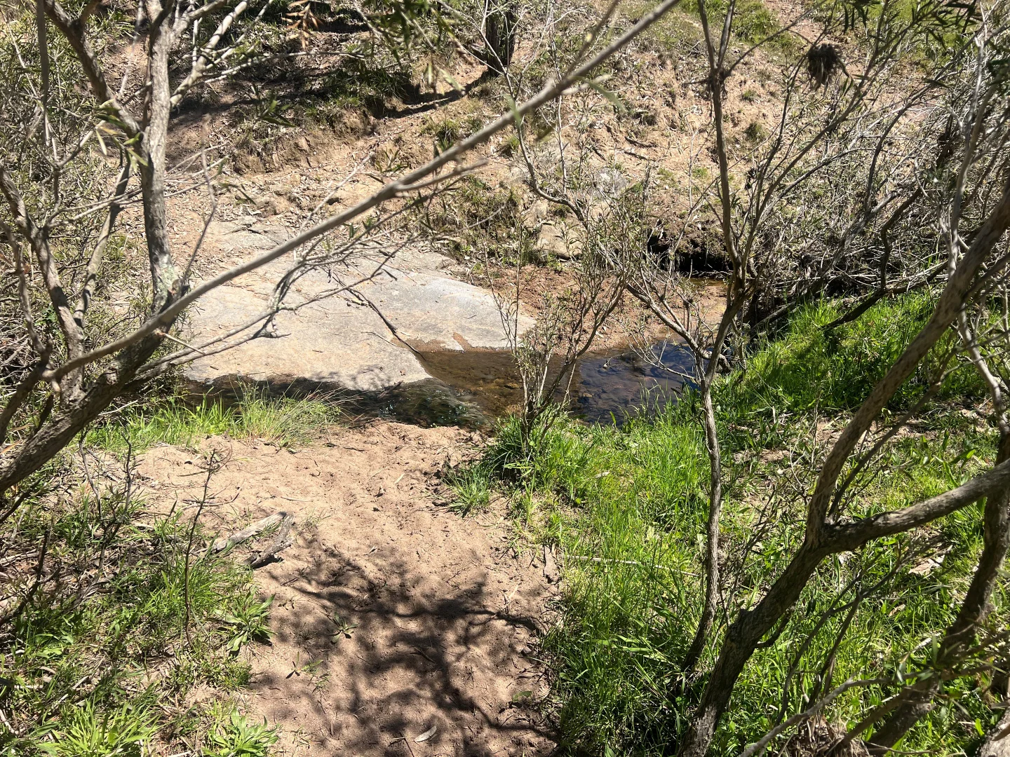 Additional image 2 of 557 Georges Creek Road, Talgarno VIC 3691