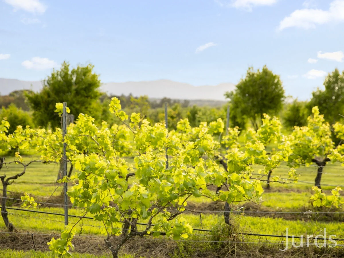 Additional image 41 of 307 Talga Road, Lovedale NSW 2325