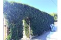 Additional image 8 of 1318 E 100th St, Los Angeles, CA, 90002