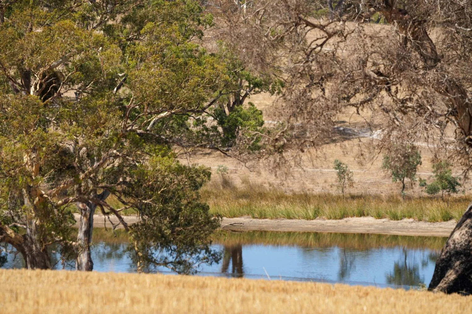 Additional image 16 of 3593 Nareen Road, Culla VIC 3315