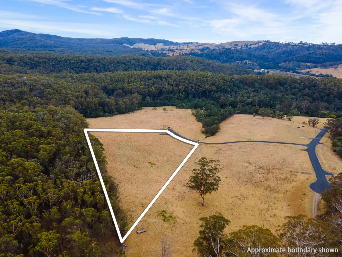 Additional image 9 of 17 Eucalyptus Lane, Lochiel NSW 2549