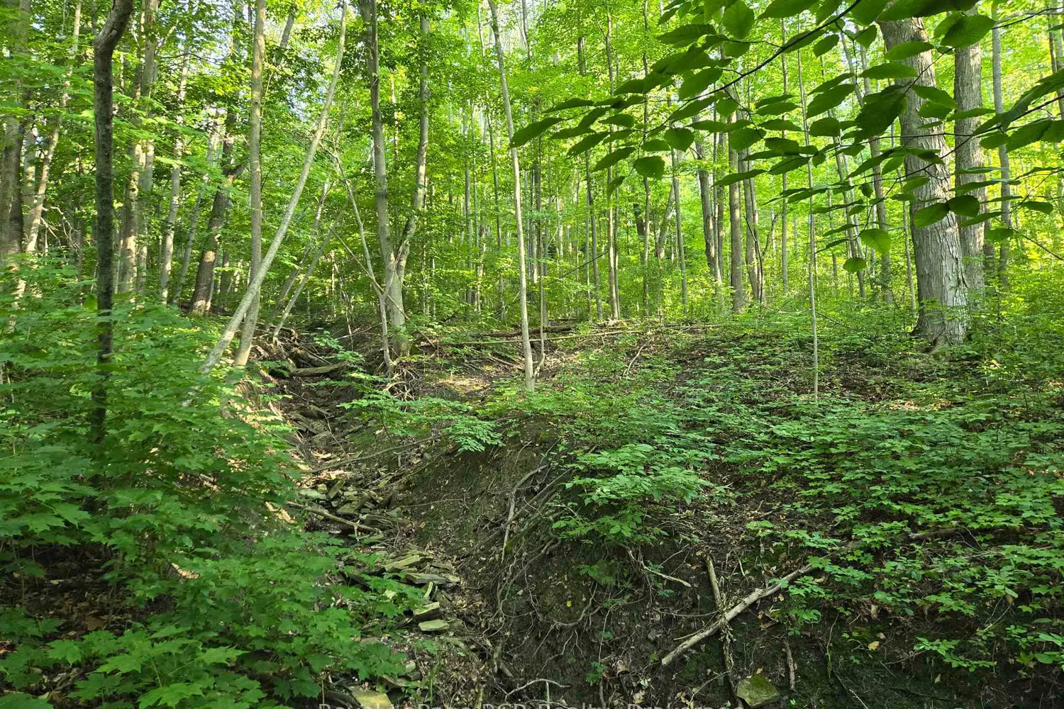 Additional image 3 of 130 Old Highway 26 Highway