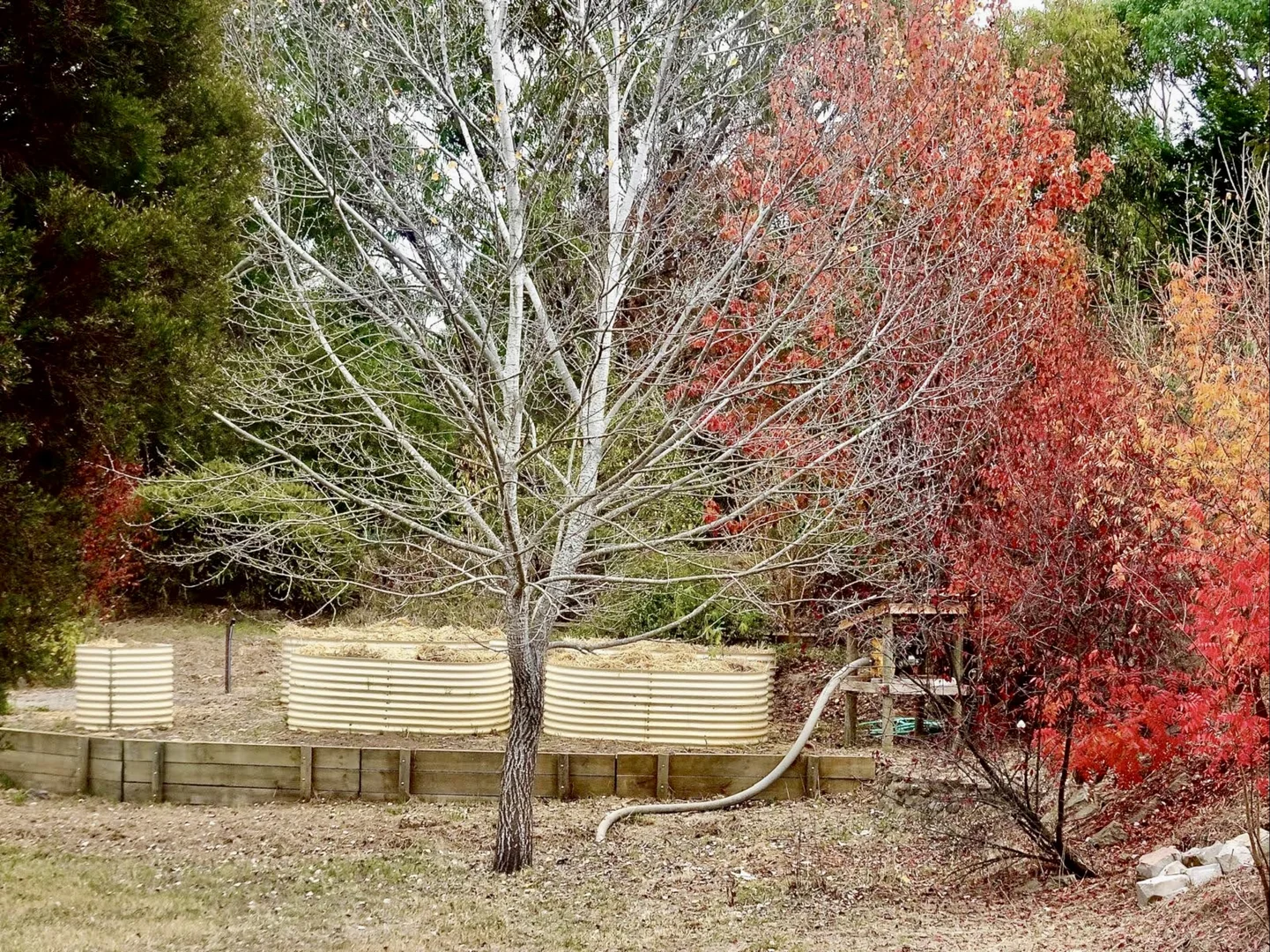 Additional image 22 of 1 Rosamel Street, Gundaroo NSW 2620