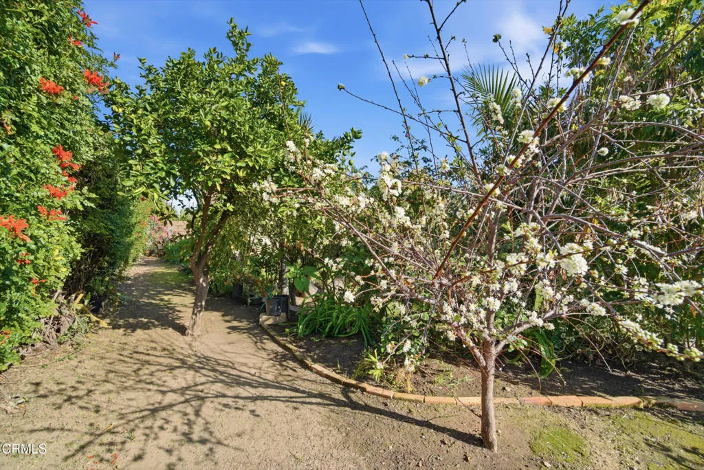 Additional image 42 of 189 Teloma Drive, Ventura, CA 93003