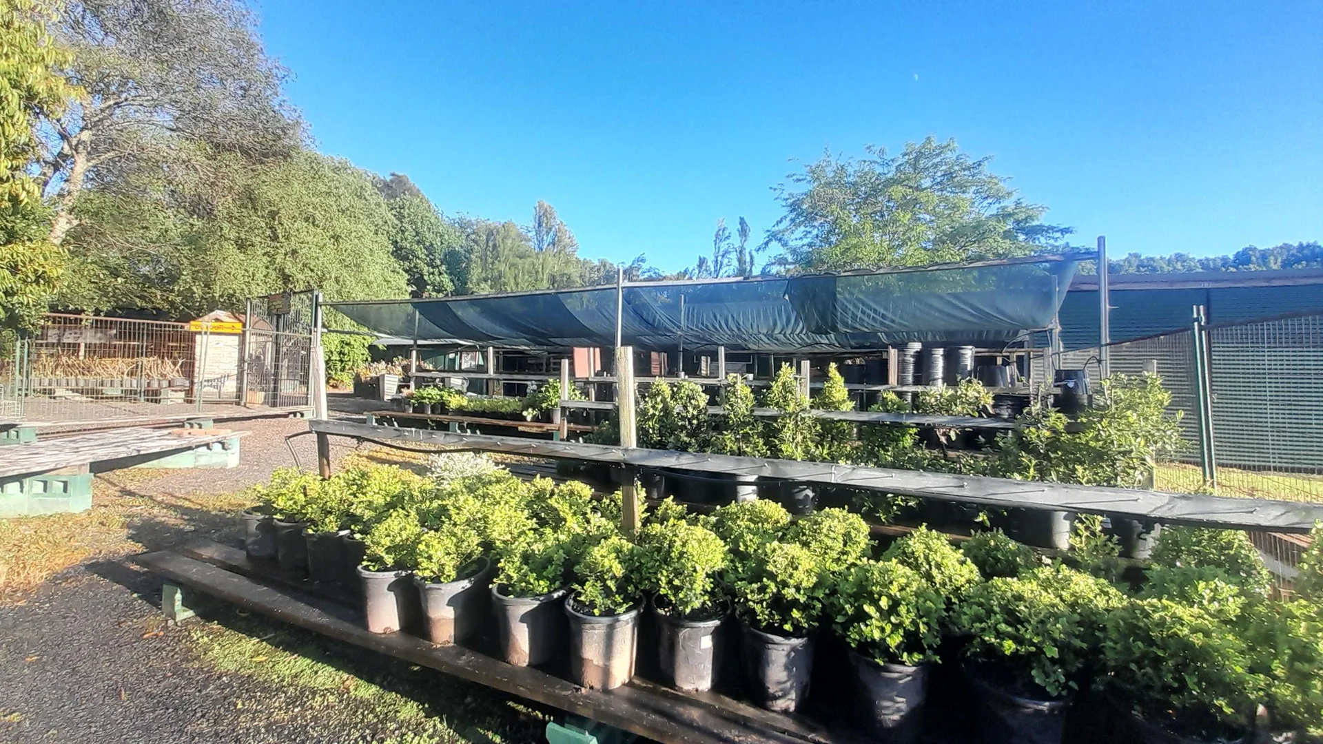 Additional image 25 of 16 Coolangatta Road, Coolangatta NSW 2535