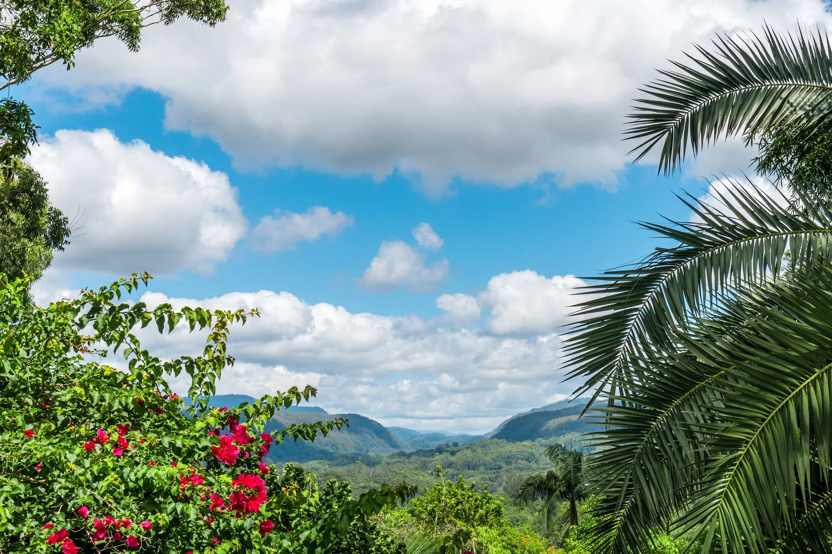 Additional image 34 of 178 Monet Drive, Montecollum NSW 2482