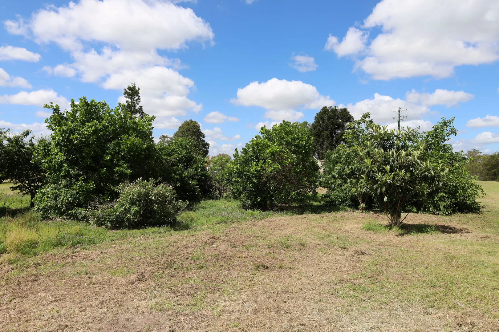 Additional image 6 of 349 Paul Holznagel Road, Murgon QLD 4605