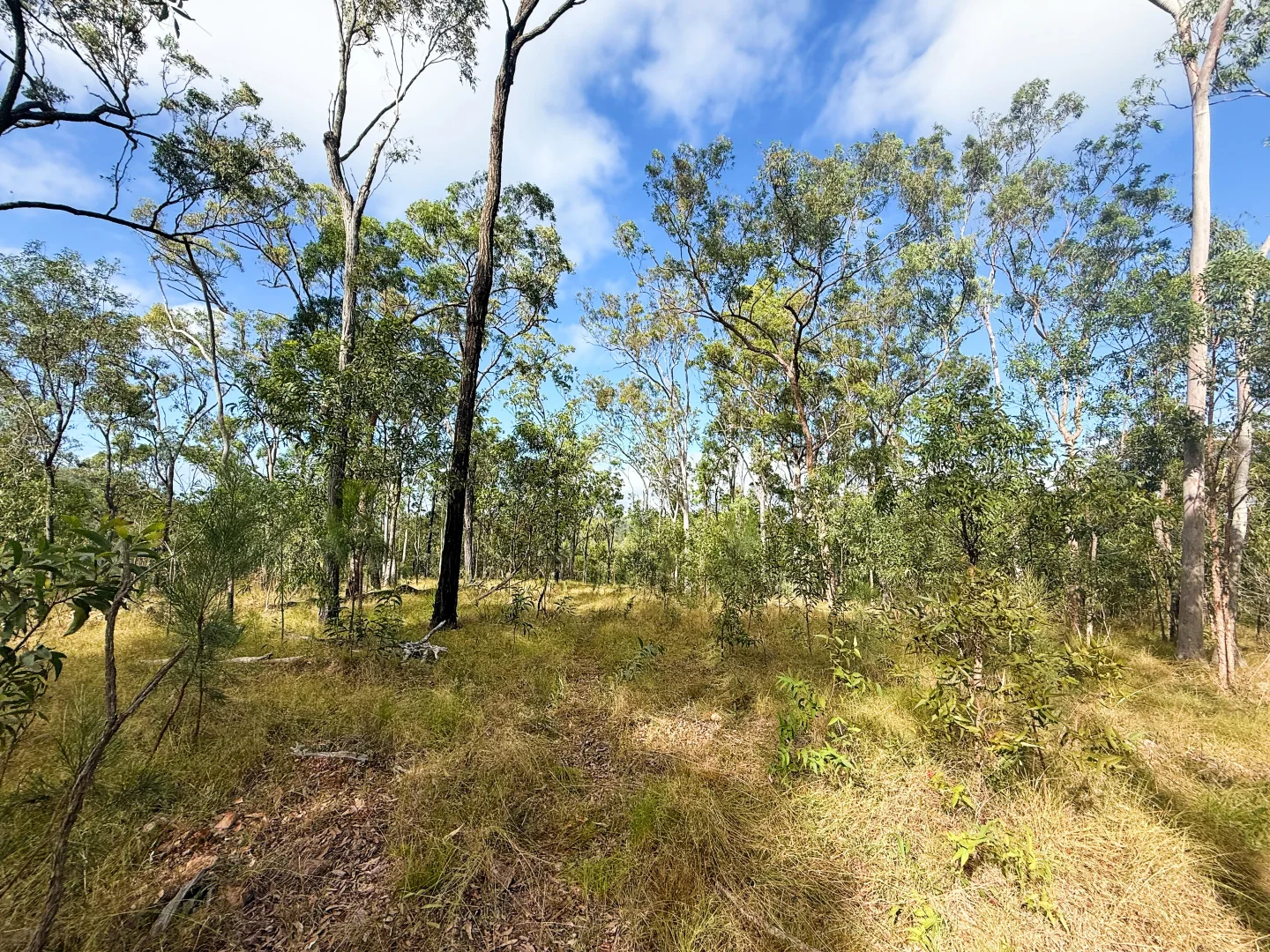 Additional image 21 of Lot 10/931 Nearum Road, Nearum QLD 4671
