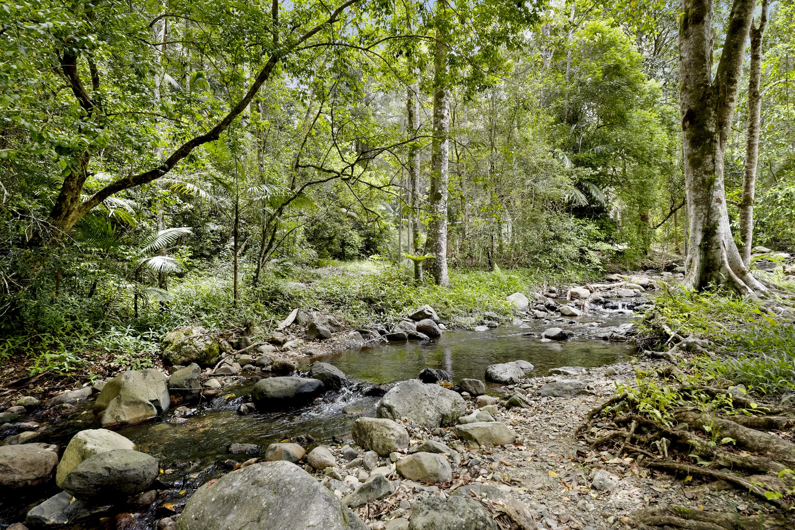 Additional image 5 of 192 Booka Road, Upper Crystal Creek NSW 2484