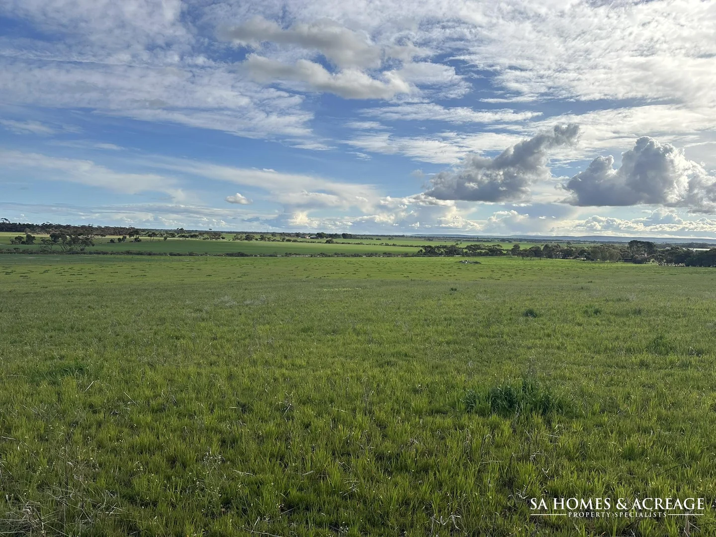 Additional image 5 of Section 460 Standpipe Road, Halbury SA 5461