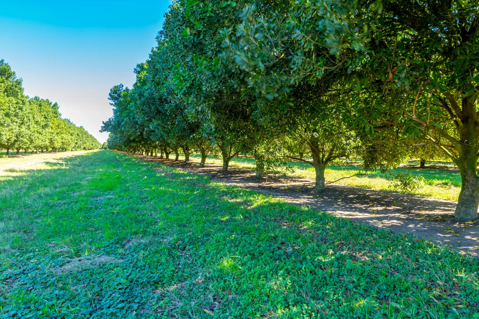 Additional image 8 of 94 Pashleys Road, Welcome Creek QLD 4670